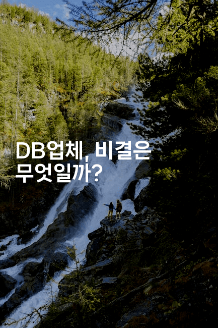 DB업체, 비결은 무엇일까?2-마켓찡