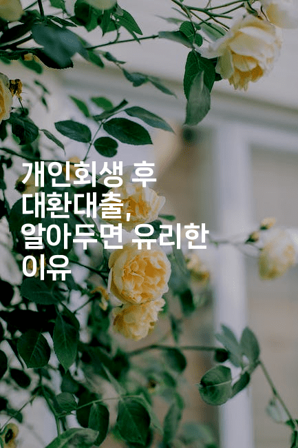 새로운 시작을 위한 길, 개인회생으로 채무에서 벗어나기