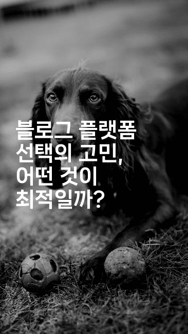 블로그 플랫폼 선택의 고민, 어떤 것이 최적일까? 2-마켓찡