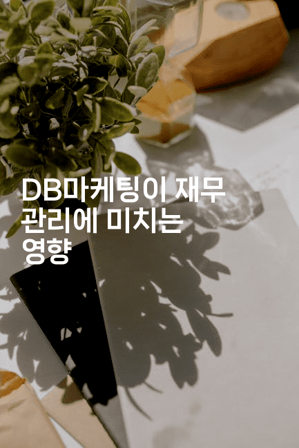 DB마케팅이 재무 관리에 미치는 영향