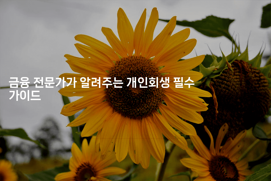 금융 전문가가 알려주는 개인회생 필수 가이드-마켓찡