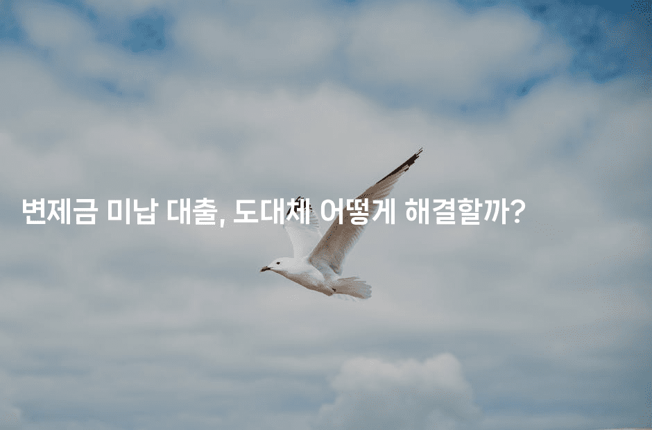 변제금 미납 대출, 도대체 어떻게 해결할까?-마켓찡