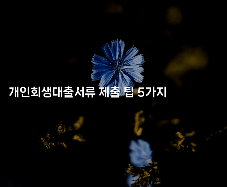 개인회생대출서류 제출 팁 5가지-마켓찡