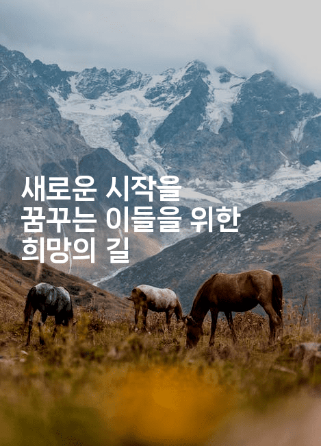 새로운 시작을 꿈꾸는 이들을 위한 희망의 길-마켓찡