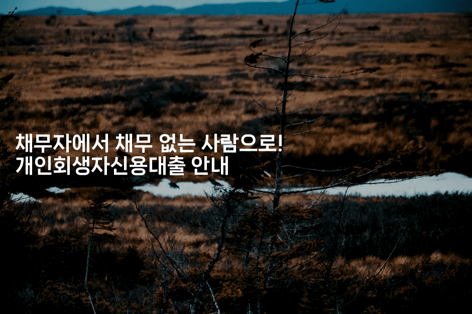 채무자에서 채무 없는 사람으로! 개인회생자신용대출 안내-마켓찡