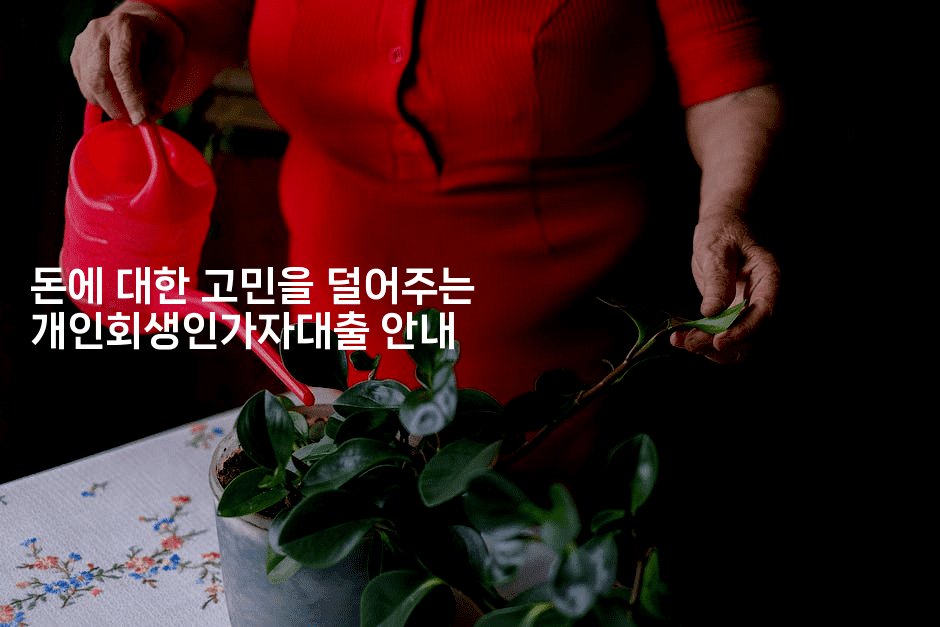 돈에 대한 고민을 덜어주는 개인회생인가자대출 안내-마켓찡