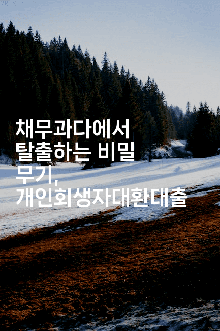 채무과다에서 탈출하는 비밀 무기, 개인회생자대환대출